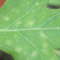 340003_20181122153949_01.JPG