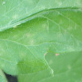 340003_20181122154047_01.JPG