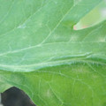 340003_20181122154103_01.JPG