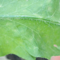 340003_20181122154108_01.JPG