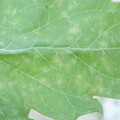 340003_20181122154118_01.JPG