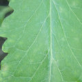 340003_20181122154235_01.JPG