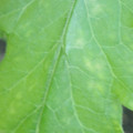 340003_20181122154243_01.JPG