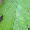 340003_20181122154246_01.JPG
