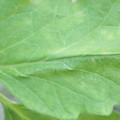 340003_20181122154329_01.JPG