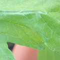 340003_20181122154404_01.JPG