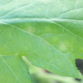 340003_20181122154514_01.JPG