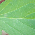 340003_20181122154613_01.JPG