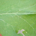 340003_20181122154803_01.JPG