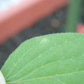 340003_20181122154824_01.JPG