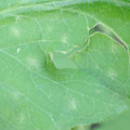 340003_20181122154832_01.JPG