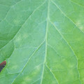 340003_20181122154901_01.JPG