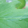 340003_20181122154958_01.JPG