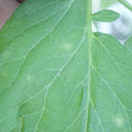 340003_20181122155005_01.JPG