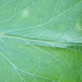 340003_20181122155019_01.JPG