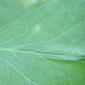 340003_20181122155020_01.JPG