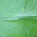 340003_20181122155021_01.JPG