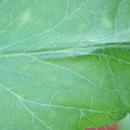 340003_20181122155023_01.JPG