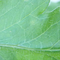340003_20181122155030_01.JPG