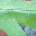 340003_20181122155048_01.JPG