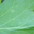 340003_20181122155102_01.JPG