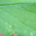 340003_20181122155148_01.JPG