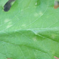 340003_20181122155155_01.JPG