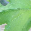 340003_20181122155201_01.JPG