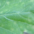 340003_20181122155223_01.JPG