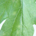 340003_20181122155234_01.JPG