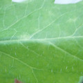 340003_20181122155240_01.JPG