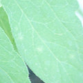 340003_20181122155315_01.JPG