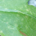340003_20181122155330_01.JPG