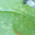 340003_20181122155331_01.JPG