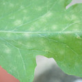 340003_20181122155452_01.JPG