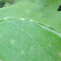 340003_20181122155522_01.JPG