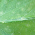340003_20181122155553_01.JPG