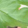 340003_20181205131938_01.JPG