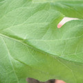 340003_20181205131939_01.JPG