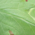 340003_20181205131942_01.JPG