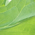 340003_20181205131948_01.JPG
