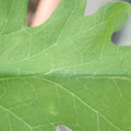 340003_20181205132021_01.JPG