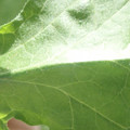 340003_20181205132039_01.JPG