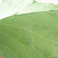 340003_20181205132044_01.JPG