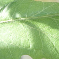 340003_20181205132136_01.JPG