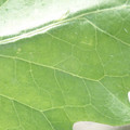 340003_20181205132237_01.JPG