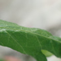 340003_20181205132242_01.JPG