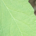 340003_20181205132250_01.JPG