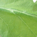340003_20181205132256_01.JPG