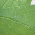 340003_20181205132304_01.JPG